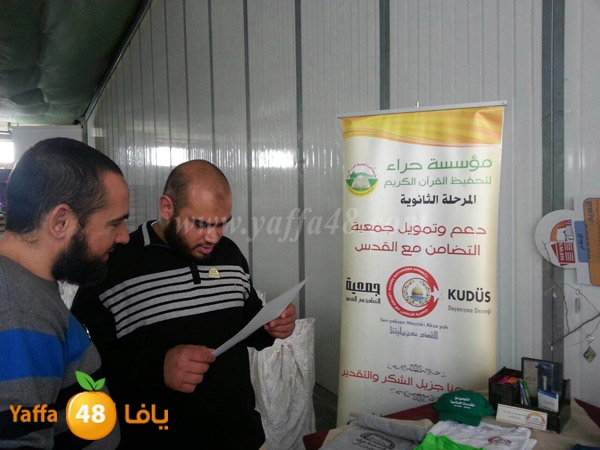 7era2 kotrye (2).JPG